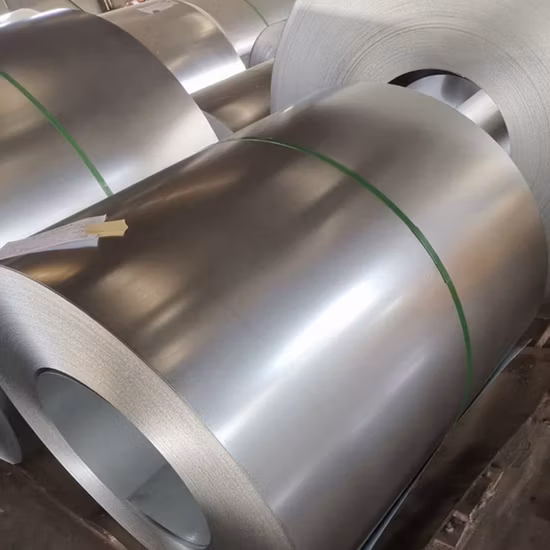 26cm 최고 품질의 프로모션 PP 및 스테인레스 스틸 비